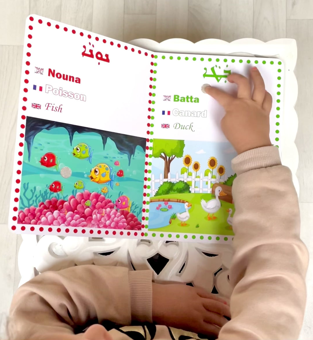 Livre d'apprentissage des couleurs en araméen – Babylearn